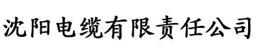 大黑香蕉网站电缆厂logo